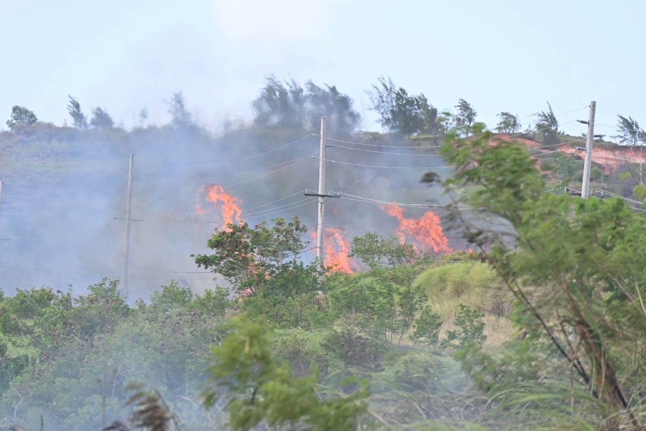 Vehicle, brush fires close down Route 17